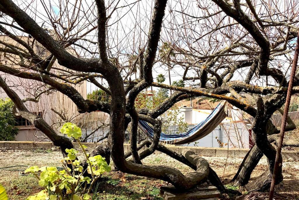 ビラフロール Casa Tia Inesヴィラ エクステリア 写真