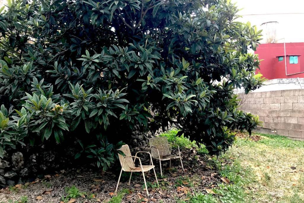 ビラフロール Casa Tia Inesヴィラ エクステリア 写真